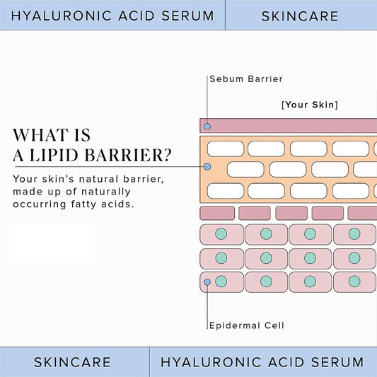 Hyaluronic Acid Original Solution Hydrating, Nourishing, Firming And Repairing Hyaluronic Acid Essence